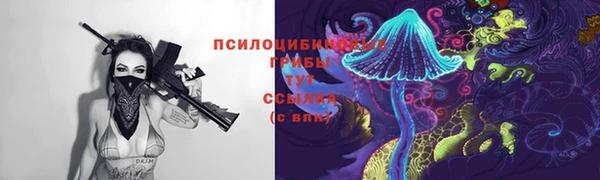 ALPHA PVP Алексин