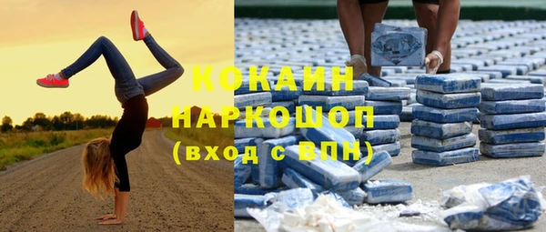индика Остров