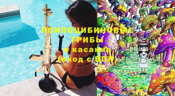 твердый Осташков