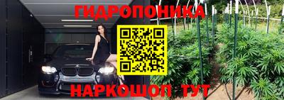 шишки Боровичи