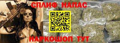 jwh Брянск