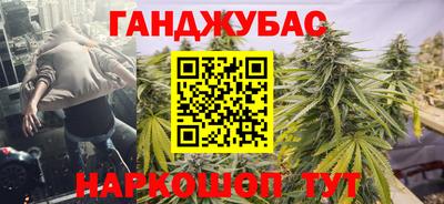 шишки Боровичи