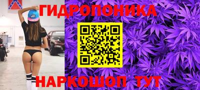 шишки Боровичи
