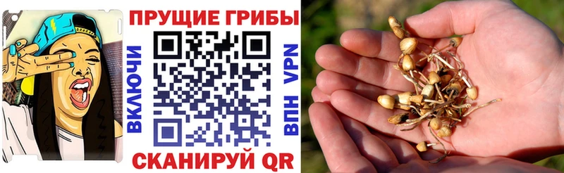 Псилоцибиновые грибы мухоморы  Раменское 