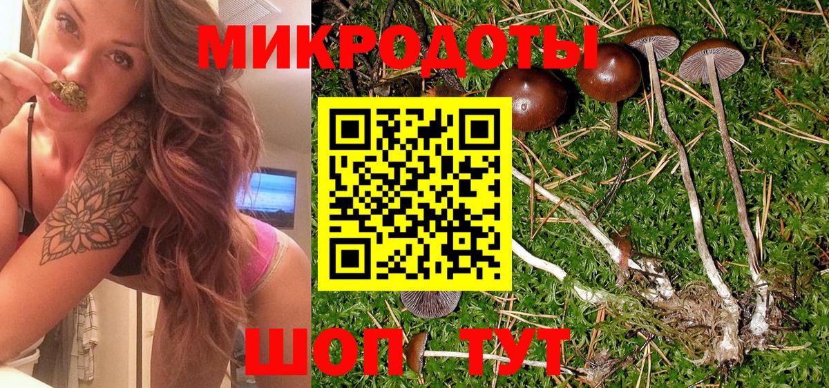 Псилоцибиновые грибы прущие грибы  Вход с VPN  купить  цена  Раменское 